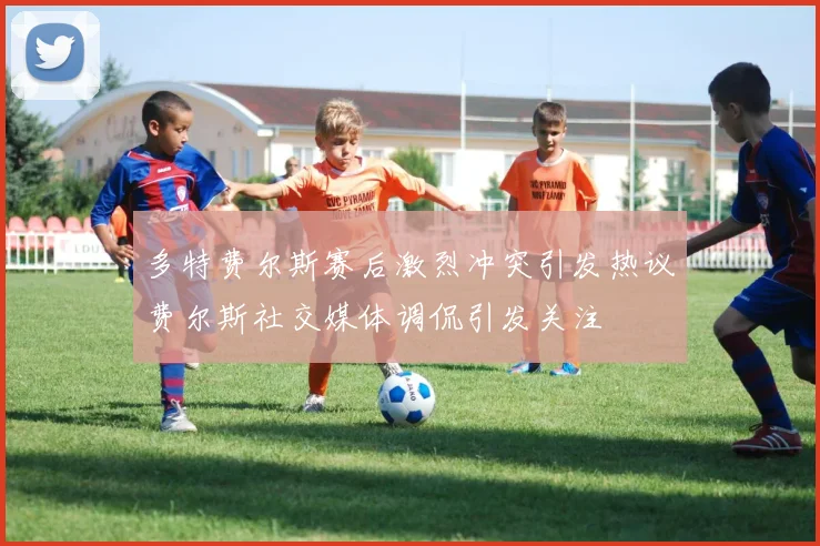 多特费尔斯赛后激烈冲突引发热议费尔斯社交媒体调侃引发关注