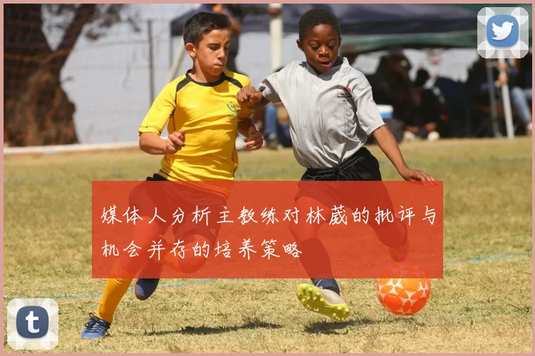 媒体人分析主教练对林葳的批评与机会并存的培养策略