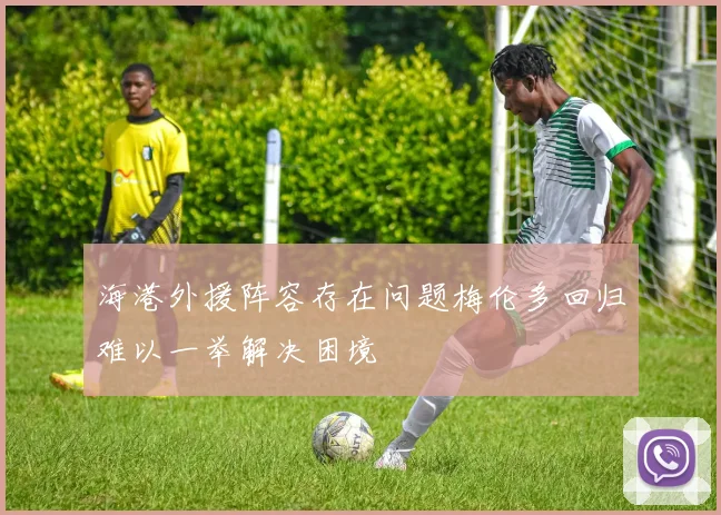 海港外援阵容存在问题梅伦多回归难以一举解决困境